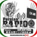 Iranian Radio - Traditional Logo