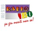 Radio IBO Logo