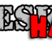 Hussieskunk :: Punk Radio Logo
