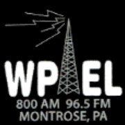 WPEL - W221AS Logo