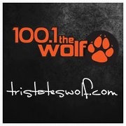 The Wolf 99.5 FM - WVMD-FM1 Logo