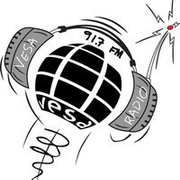Radio Vesa 91.7 FM Logo