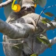 Sloth Radio Logo