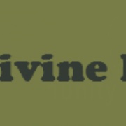 AA Divine Radio Logo