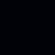 DarkSide Logo