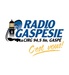 CJRG-FM - CJRV Logo