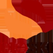 Radio Skive Logo