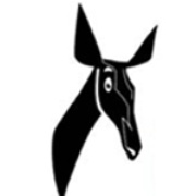 Radio Okapi Logo