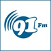 91 FM Logo