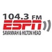 The Fan - WSFN Logo