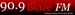 WVVS-FM Logo