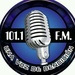 Stereo 101.1 FM Logo