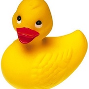 The Duck - WQAC Logo