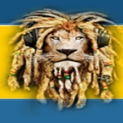 Lions - Radio Logo