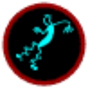 Radio Superhit Logo