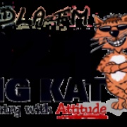 WDLA-FM Logo