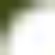 Radio Baranen Logo