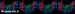Real Country 101.9 - WARU-FM Logo