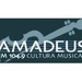 Radio Amadeus Cultura Musical 104.9 Logo