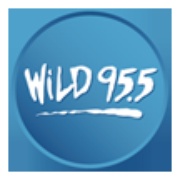 Wild 95.5 - WLDI Logo