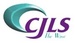 The Wave - CJLS-FM-2 Logo