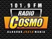 Radio Cosmo Bandung - 101.9 FM Logo