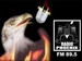 radio phoenix Logo