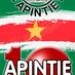 Apintie Radio Logo