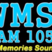 WMSG Logo