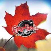 Velicham FM Logo