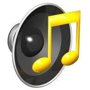 Nieuwerkerk FM Logo