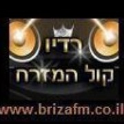 Radio Briza Logo