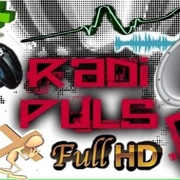 Radio Pulso Net Logo