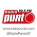 Radio Punto Logo