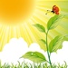 SKY.FM Radio - Nature Logo