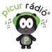Picur Radio Logo