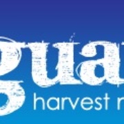 KHMG Logo