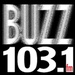 103.1 The Buzz - WIRK-FM-HD2 Logo