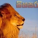 Sihasara Radio Logo