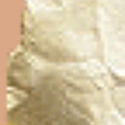 HonkyTonkJUnkie.com Logo