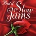 SLOW JAM Logo