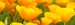 WMDB Logo