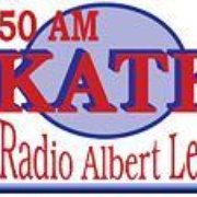 The Hawk - KATE Logo