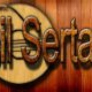 Rádio Brasil Sertanejo Logo