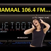Radio Dhamaal Logo
