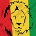 SKY.FM Radio - Roots Reggae Logo