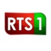 Radio Senegal International Logo