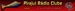 Pirajui Radio Clube Logo