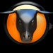SERIE25 RADIO Logo