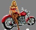 Biker Valley Radio Logo
